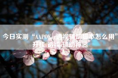 今日实测“AAPOKer透视辅助脚本怎么用”开挂(透视)辅助神器