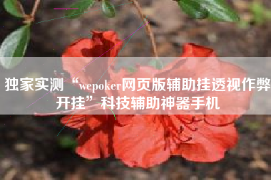 独家实测“wepoker网页版辅助挂透视作弊开挂”科技辅助神器手机
