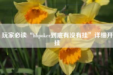 玩家必读“hhpoker到底有没有挂”详细开挂