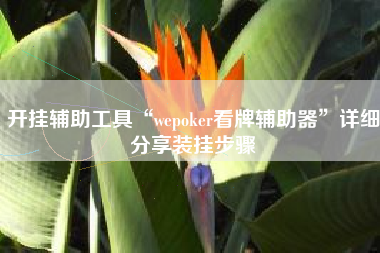 开挂辅助工具“wepoker看牌辅助器”详细分享装挂步骤
