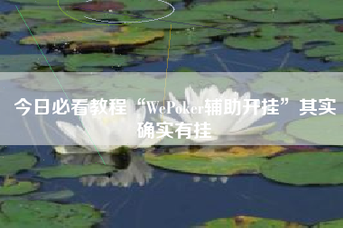 今日必看教程“WePoker辅助开挂”其实确实有挂