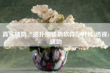 真实辅助“德扑圈辅助软件”开挂(透视)辅助