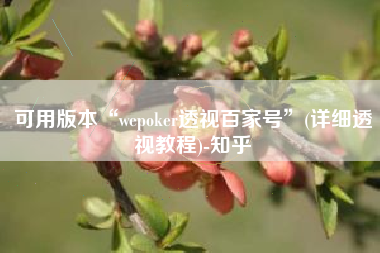 可用版本“wepoker透视百家号”(详细透视教程)-知乎