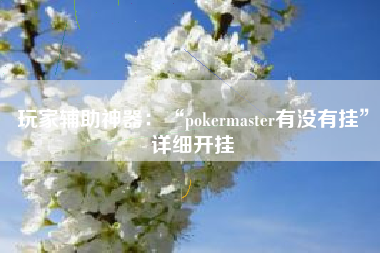 玩家辅助神器：“pokermaster有没有挂”详细开挂
