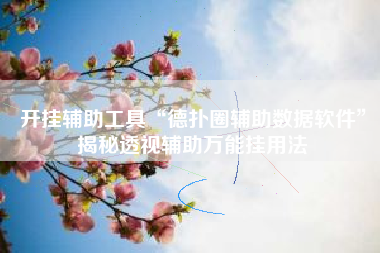 开挂辅助工具“德扑圈辅助数据软件”揭秘透视辅助万能挂用法