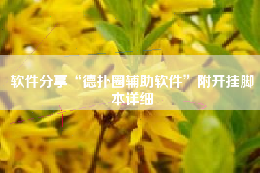 软件分享“德扑圈辅助软件”附开挂脚本详细