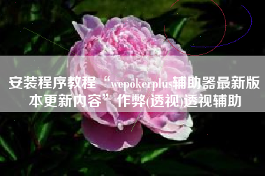 安装程序教程“wepokerplus辅助器最新版本更新内容”作弊(透视)透视辅助