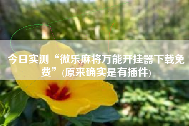 今日实测“微乐麻将万能开挂器下载免费”(原来确实是有插件)