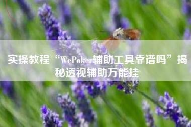 实操教程“WePoker辅助工具靠谱吗”揭秘透视辅助万能挂
