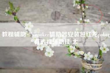 教程辅助“wepoker辅助器安装包红龙poker有透视辅助挂(太