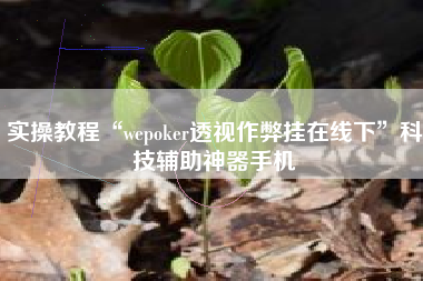 实操教程“wepoker透视作弊挂在线下”科技辅助神器手机