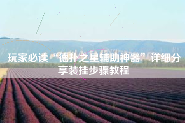 玩家必读“德扑之星辅助神器”详细分享装挂步骤教程