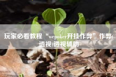 玩家必看教程“wepoker开挂作弊”作弊(透视)透视辅助