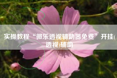 实操教程“微乐透视辅助器免费	”开挂(透视)辅助