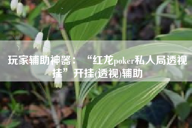 玩家辅助神器：“红龙poker私人局透视挂	”开挂(透视)辅助