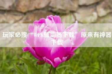 玩家必搜“WPK辅助器下载	”原来有神器下载