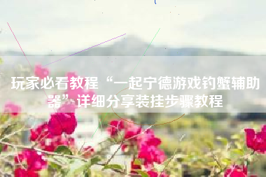 玩家必看教程“一起宁德游戏钓蟹辅助器”详细分享装挂步骤教程