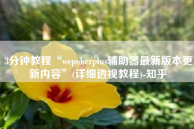 3分钟教程“wepokerplus辅助器最新版本更新内容	”(详细透视教程)-知乎