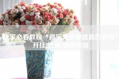 玩家必看教程“微乐外卦神器真的有吗”开挂(透视)辅助神器