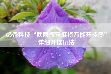 必备科技“陕西微乐麻将万能开挂器”详细开挂玩法