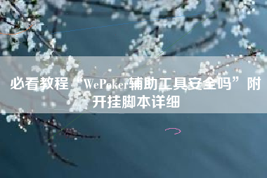 必看教程“WePoker辅助工具安全吗”附开挂脚本详细