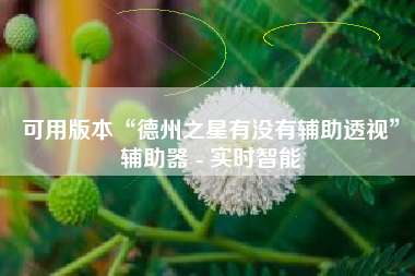可用版本“德州之星有没有辅助透视	”辅助器 - 实时智能