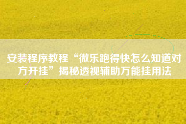 安装程序教程“微乐跑得快怎么知道对方开挂”揭秘透视辅助万能挂用法