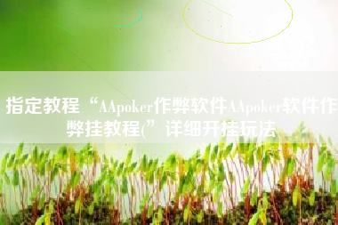 指定教程“AApoker作弊软件AApoker软件作弊挂教程(	”详细开挂玩法