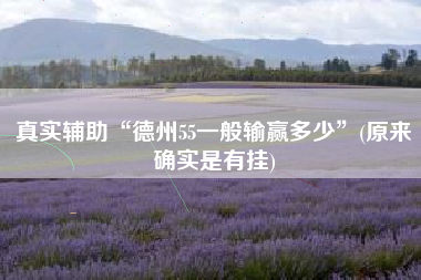 真实辅助“德州55一般输赢多少”(原来确实是有挂)