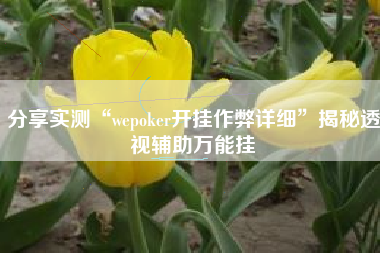 分享实测“wepoker开挂作弊详细”揭秘透视辅助万能挂