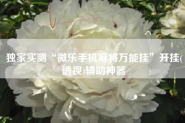 独家实测“微乐手机麻将万能挂”开挂(透视)辅助神器