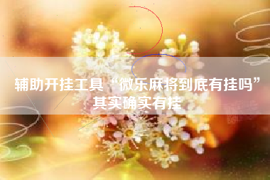 辅助开挂工具“微乐麻将到底有挂吗”其实确实有挂