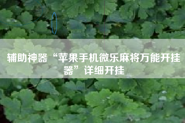 辅助神器“苹果手机微乐麻将万能开挂器	”详细开挂
