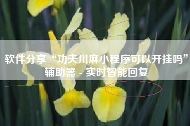 软件分享“功夫川麻小程序可以开挂吗”辅助器 - 实时智能回复