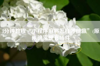 3分钟教程“小程序麻将怎样才能赢”(原来确实是有插件