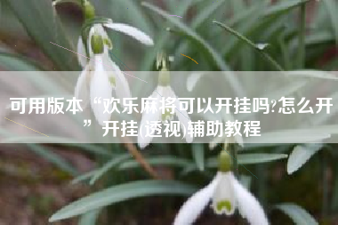 可用版本“欢乐麻将可以开挂吗?怎么开”开挂(透视)辅助教程