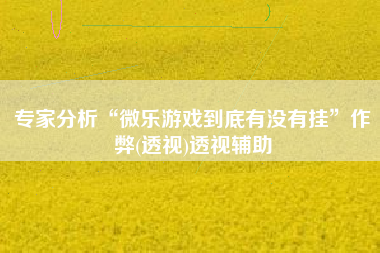 专家分析“微乐游戏到底有没有挂”作弊(透视)透视辅助