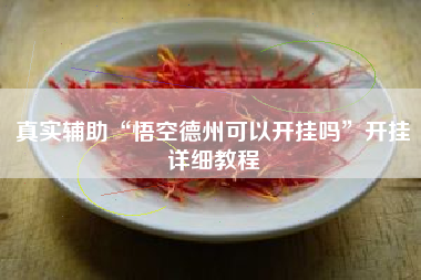 真实辅助“悟空德州可以开挂吗”开挂详细教程