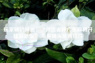 玩家辅助神器：“微信雀神广东麻将开挂最新版”(原来确实是有插件