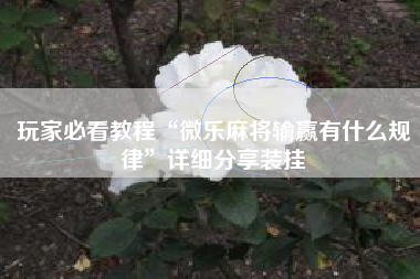 玩家必看教程“微乐麻将输赢有什么规律”详细分享装挂