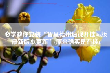 必学教你安装“智星德州透视开挂ios版最新版本更新”(原来确实是有挂)