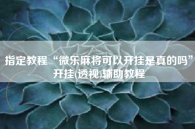 指定教程“微乐麻将可以开挂是真的吗”开挂(透视)辅助教程