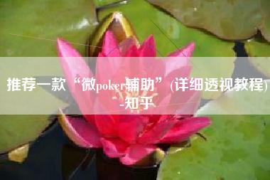 推荐一款“微poker辅助”(详细透视教程)-知乎