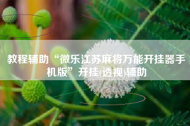 教程辅助“微乐江苏麻将万能开挂器手机版”开挂(透视)辅助