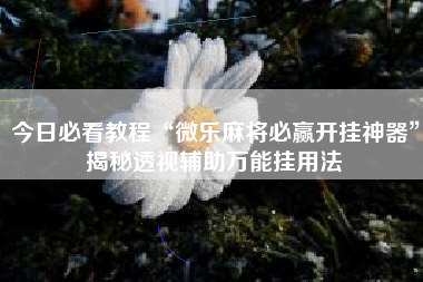 今日必看教程“微乐麻将必赢开挂神器	”揭秘透视辅助万能挂用法