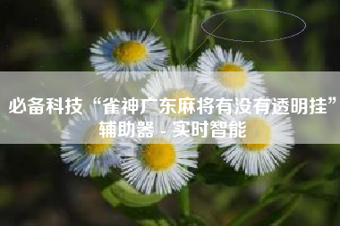 必备科技“雀神广东麻将有没有透明挂”辅助器 - 实时智能