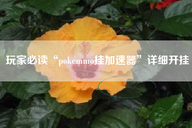 玩家必读“pokemmo挂加速器”详细开挂