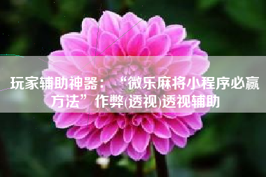 玩家辅助神器：“微乐麻将小程序必赢方法”作弊(透视)透视辅助