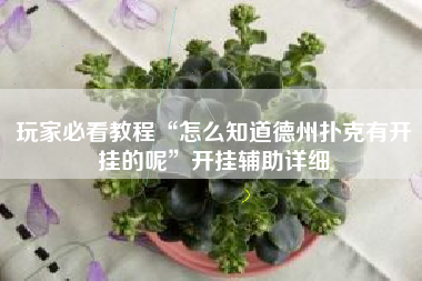 玩家必看教程“怎么知道德州扑克有开挂的呢”开挂辅助详细