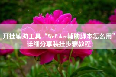 开挂辅助工具“WePoker辅助脚本怎么用”详细分享装挂步骤教程